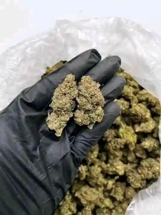 Premium weed 1L Pack